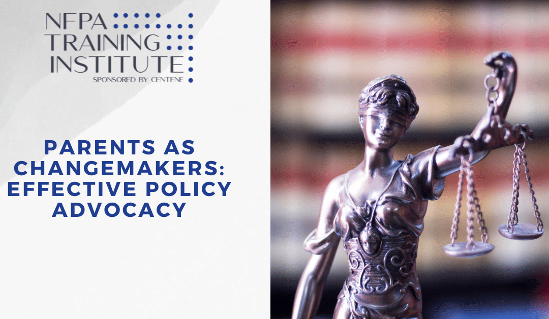 Parents as Changemakers: Effective Policy Advocacy (1.5 Hours)