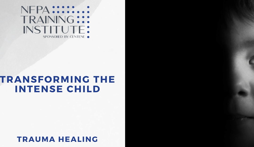 Transforming the Intense Child (1.5 Hours)
